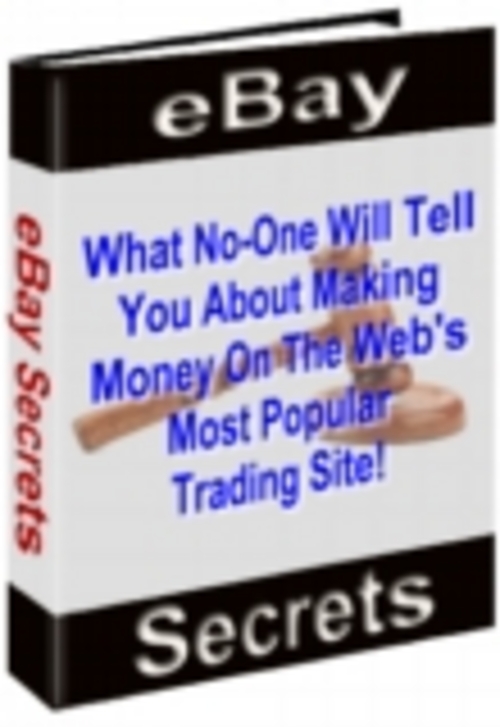 Product picture eBay Money Flow Manual With Master Resale Rights.